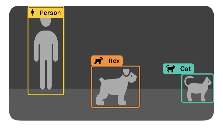 A camera picture with labelled boxes: a person, a dog named Rex and a cat.