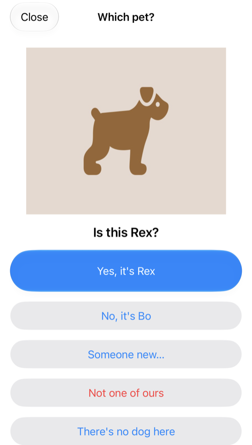OdinCam asks: Is this Rex? With answers: Yes, it's Rex; No, it's Bo; Someone new; Not one of ours; There's no dog here.